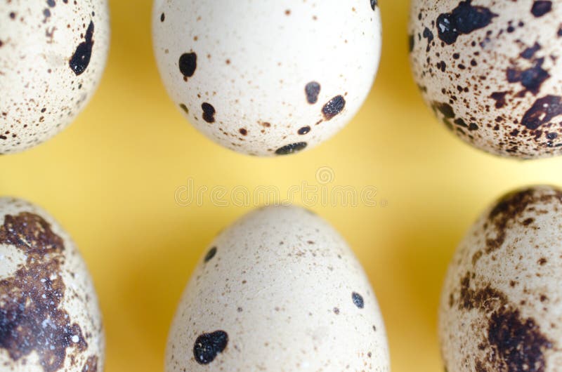 Minimalistic quail eggs. Beautiful quail eggs on a yellow and white backgraund/ Style in the kithen is very important. This photo conveys an atmosphere of stock photos Minimalistic quail eggs. Beautiful quail eggs on a yellow and white backgraund/ Style in the kithen is very important. This photo conveys an atmosphere of stock photos