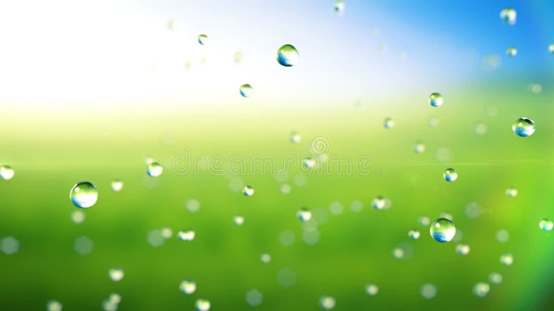 Beautiful Rain Drops Falling in Slow Motion, Green Background, HD 1080  Stock Footage - Video of clear, closeup: 61910840