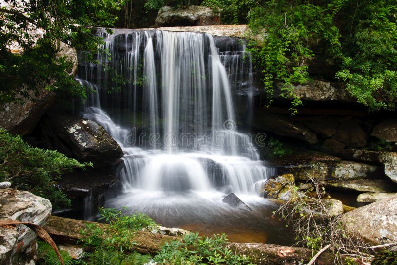 Beautiful rain forest and waterfall