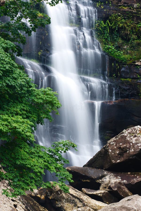 Beautiful rain forest and waterfall