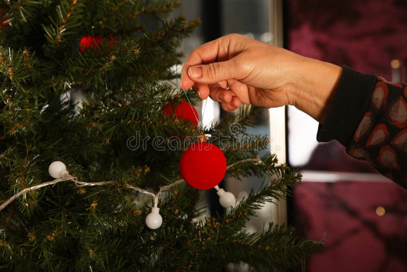 Beautiful Red Balls are Hung on the Christmas Tree Stock Photo Image