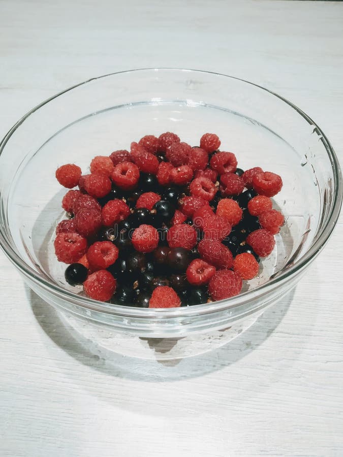 A Beautiful Red and Black Barries Stock Image Image of black, barries