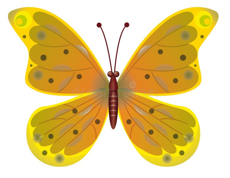 A beautiful red butterfly isolated. EPS10 Vector