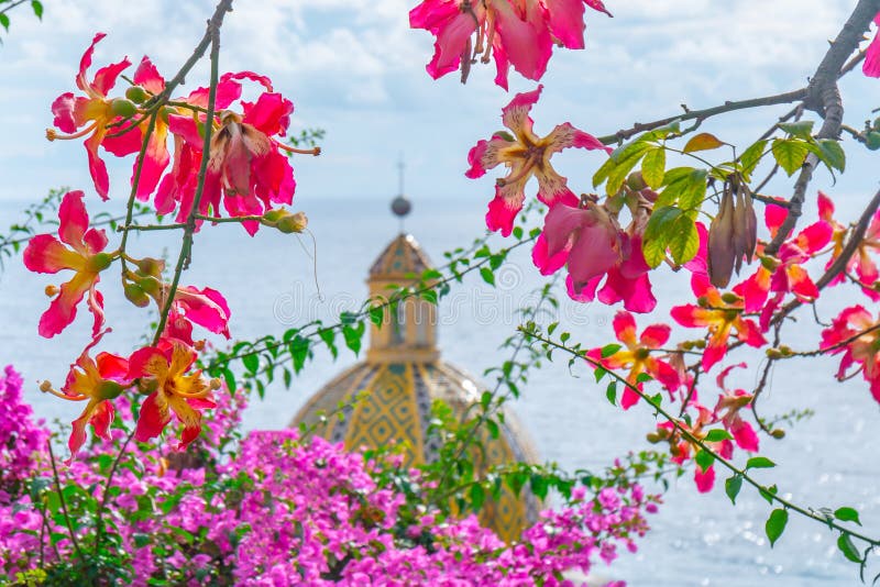 Beautiful Red Flowers on a Sunny Day in Positano Stock Photo - Image of ...