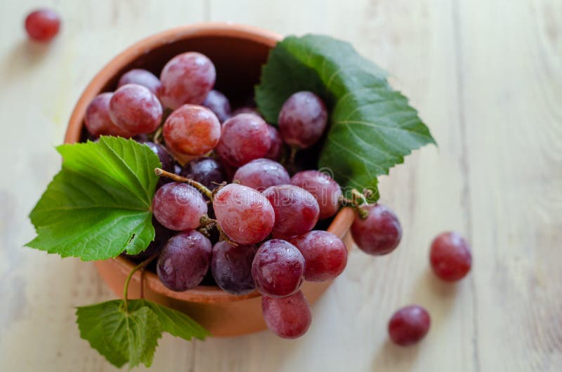 Beautiful Red Grapes are in the Bowl Stock Photo Image of view