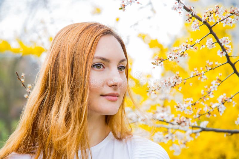 Beautiful red-haired young woman standing near blooming cherry b royalty free stock photos Beautiful red-haired young woman standing near blooming cherry b royalty free stock photos