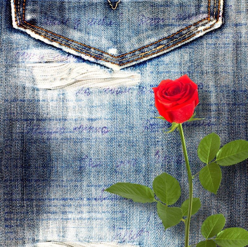 Red Rose Jeans Pocket Stock Photos Free & RoyaltyFree Stock Photos
