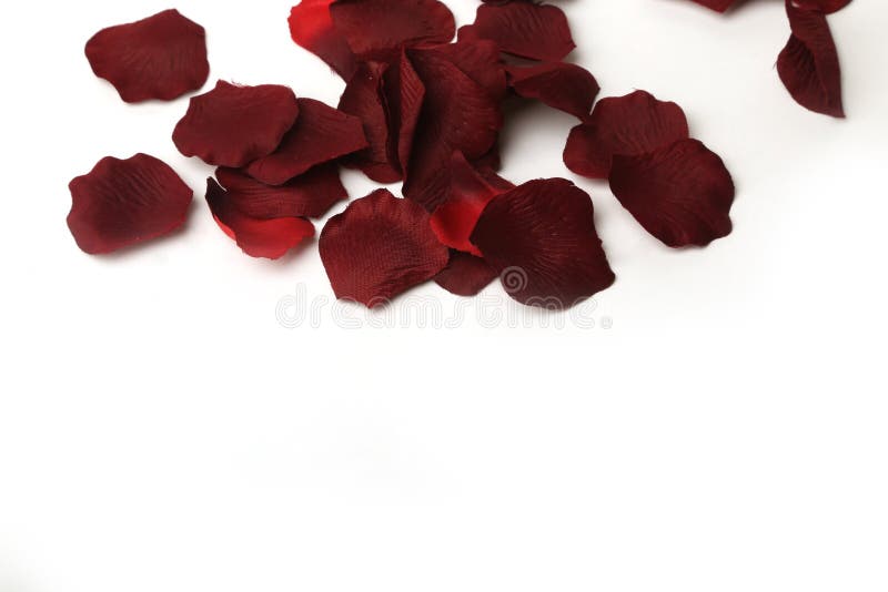 Beautiful red rose petals