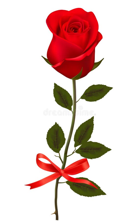 رحتم وغبتم إخوتي Beautiful-red-rose-white-background-vector-17590638