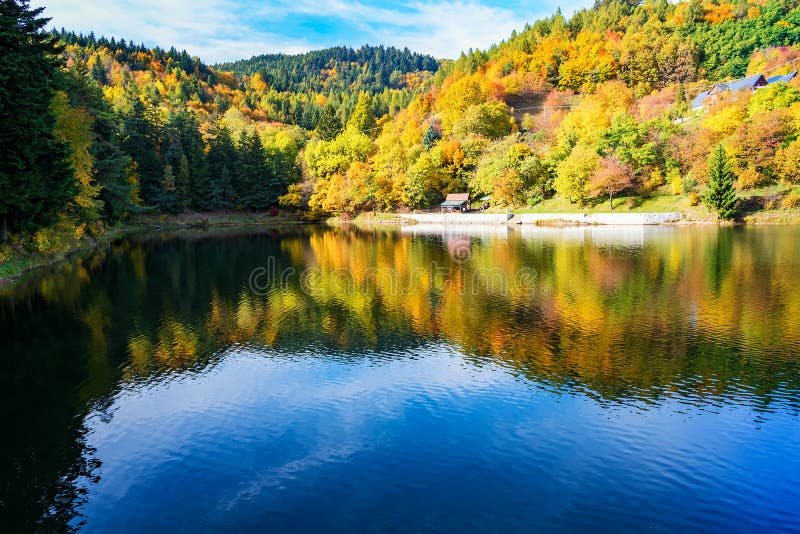 Beautiful reflection of colorful trees in water of lake during autumn