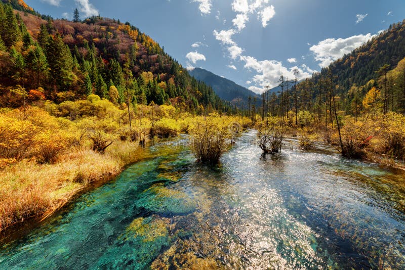 Beautiful River With Crystal Water Among Woods And Mountains Stock