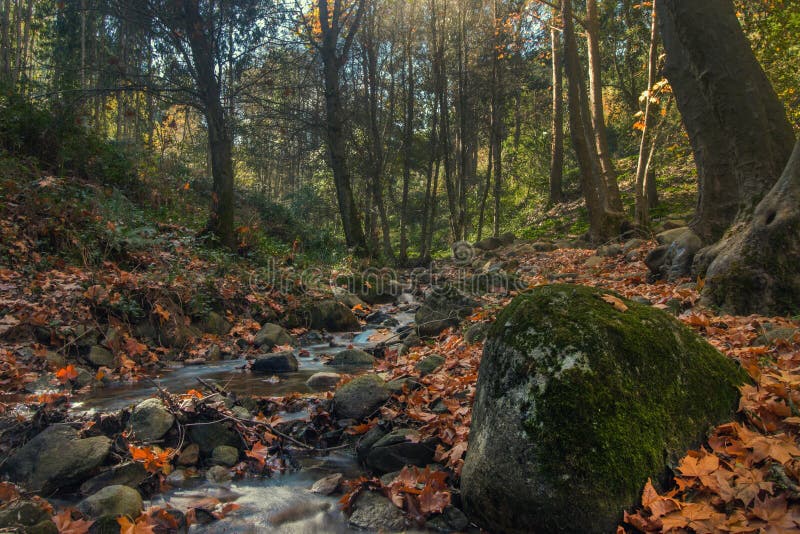 Beautiful river mountain region of Monchique, Portugal