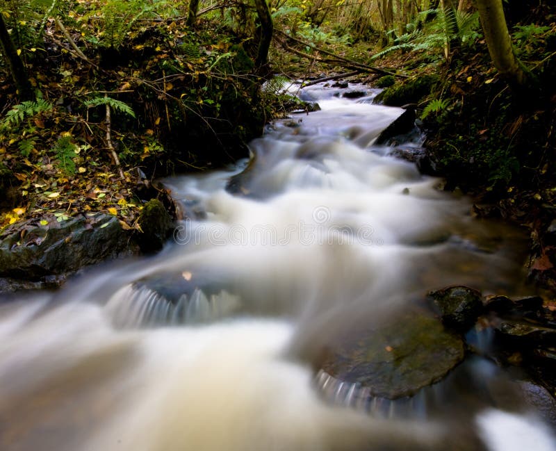 Beautiful River Scene