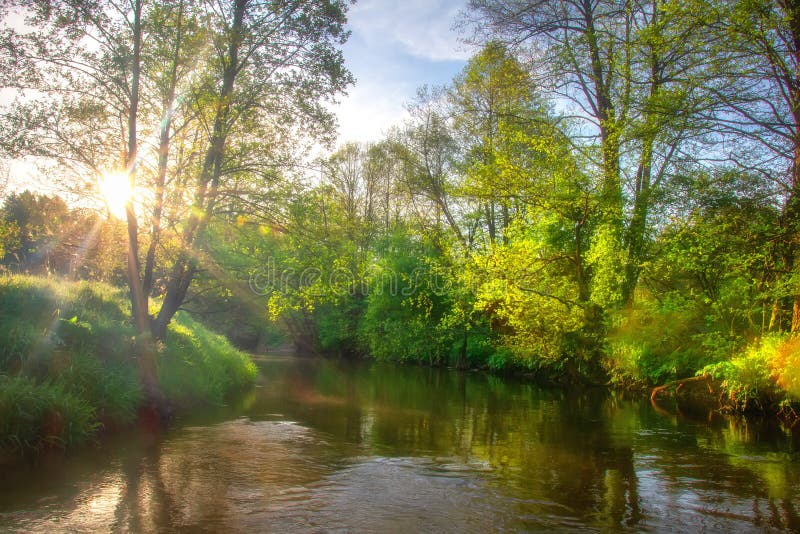 Beautiful River Scene At Sunrise Green Summer Landscape On Riverside