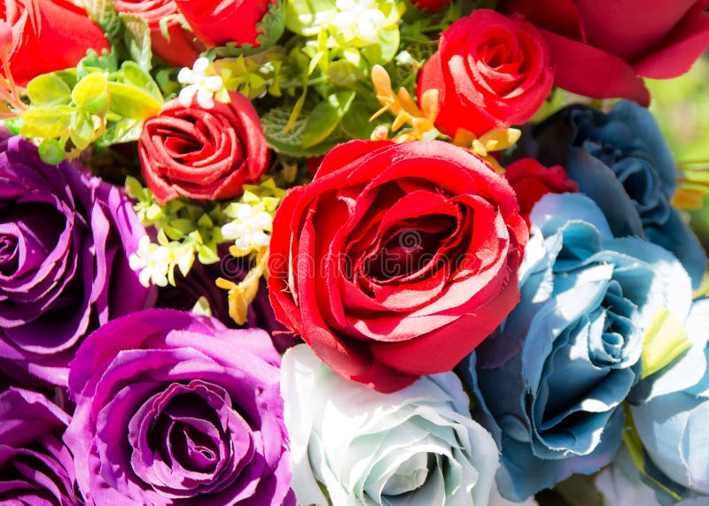 Beautiful Rose of Artificial Flowers, Artificial Pastel Rose Flowers Stock Image Image of