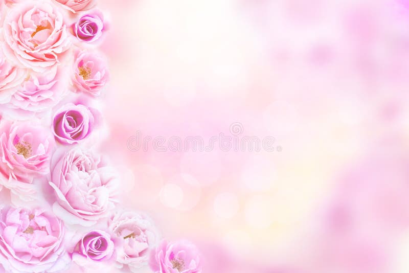 Hoa hồng đẹp luôn là sự lựa chọn hàng đầu cho những đám cưới. Hãy cùng xem những bức ảnh hoa hồng đẹp đến từng chi tiết với các màu sắc và kiểu dáng đa dạng để chọn cho mình một bó hoa đẹp nhất nhé!