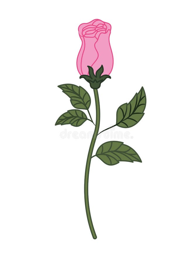 Beautiful Rose with Leafs Isolated Icon Stock Vector - Illustration of ...