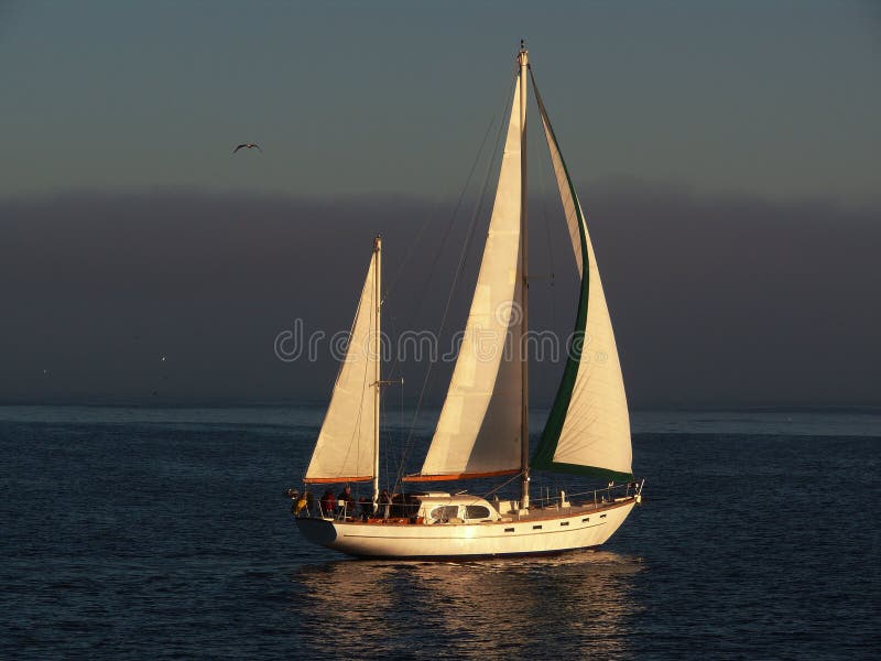 Sailboat In The Peaceful Blue Ocean Stock Image Image Of Watercraft California 3001