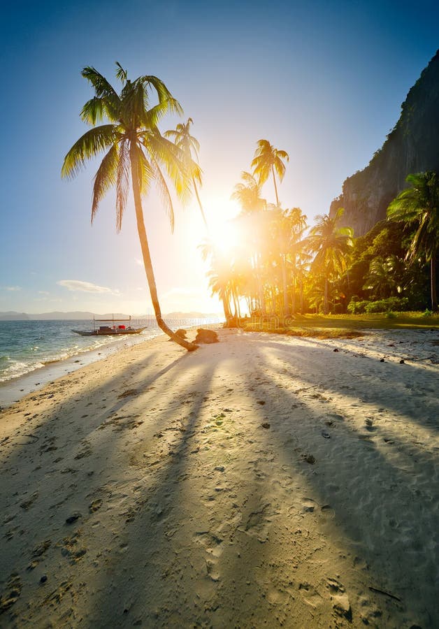 The beautiful sandy beach at sunset on the island in El Nido. Ph royalty free stock images
