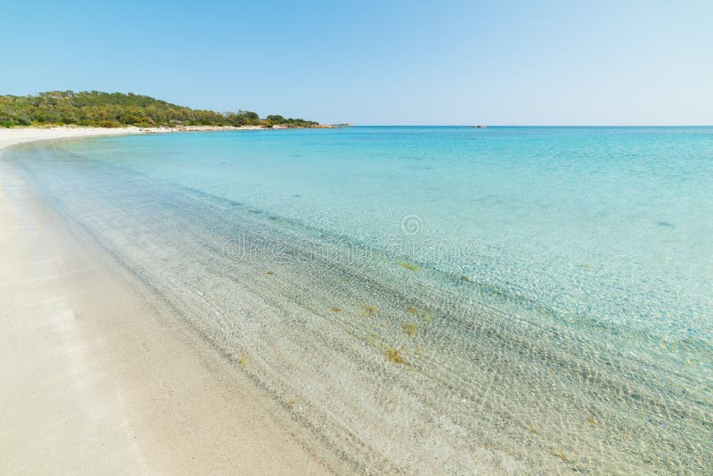 Beautiful sandy shoreline stock image. Image of bright - 119345243