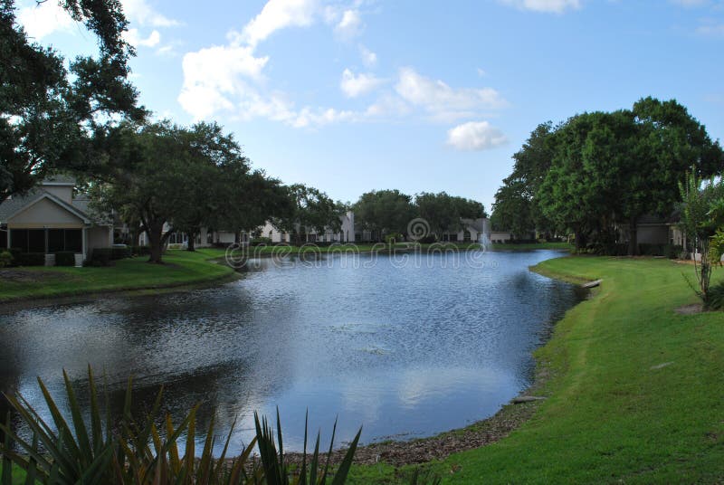  Beautiful Sarasota  Florida stock image Image of trees 