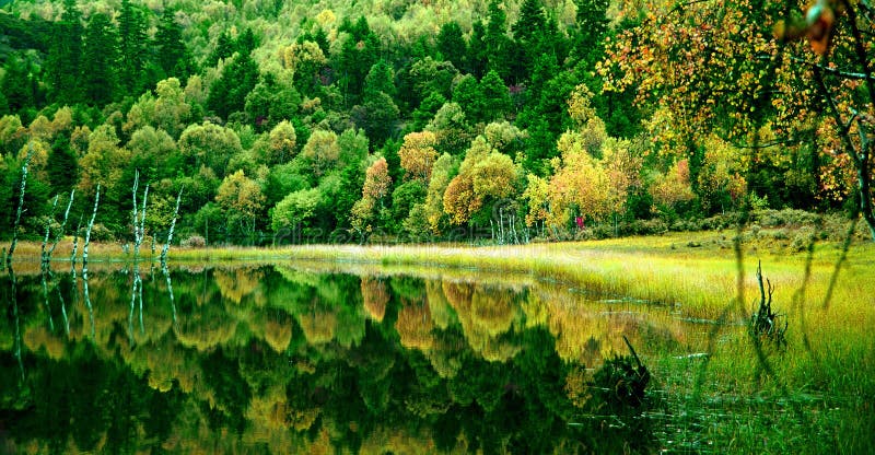 Beautiful scene in china