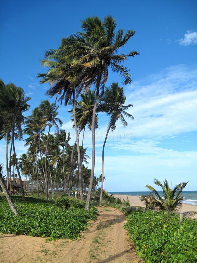 Beautiful scene of a tropical beach