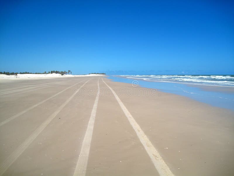 Beautiful scene of a tropical beach