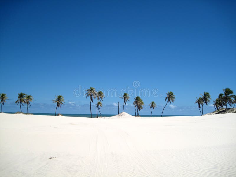 Beautiful scene of a tropical beach