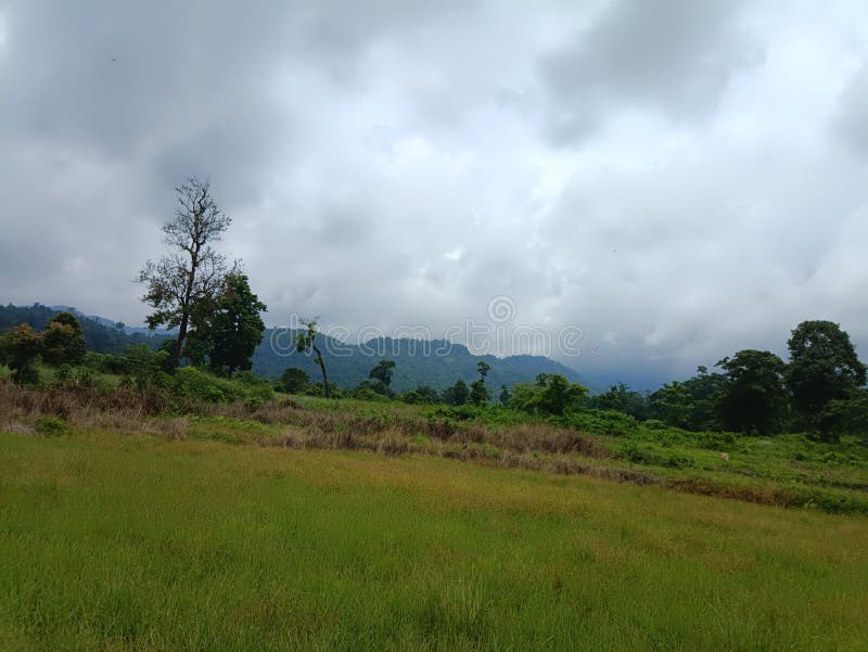 The beautiful scenery of Bhutan State. There are many trees and mountains. stock photos