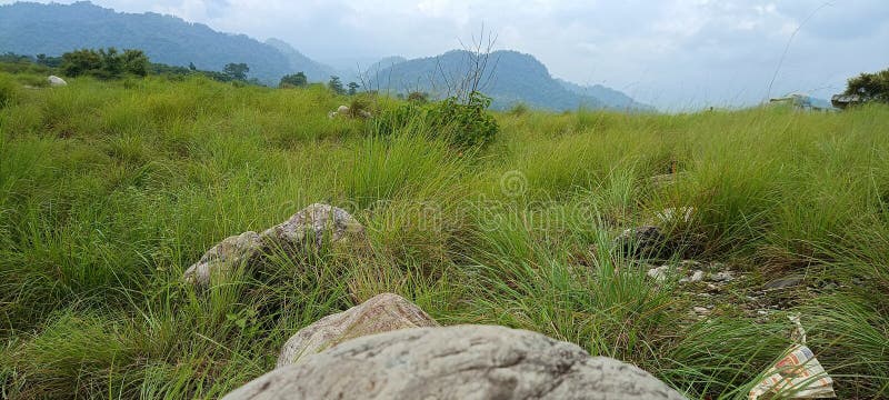 The beautiful scenery of Grassland of Assam State, India. stock image