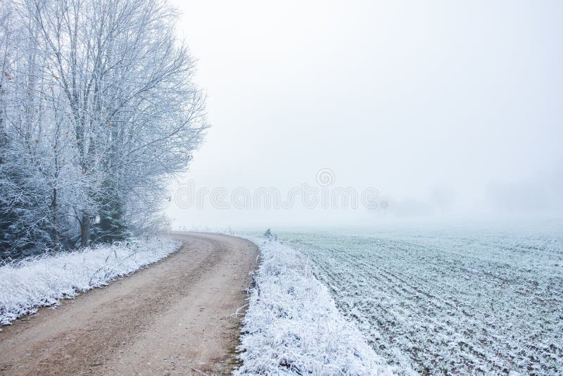 A beautiful scenery of a gravel road in the late autumn with first snow. Cold, outdoors.