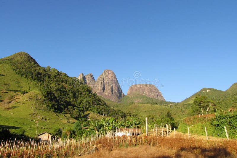 Beautiful scenery of green forest, field and smooth rocks