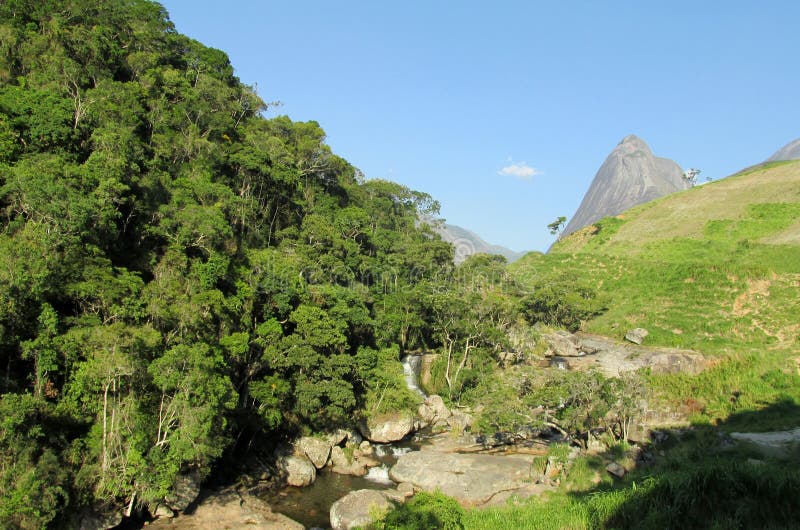 Beautiful scenery of green forest, river and smooth rocks