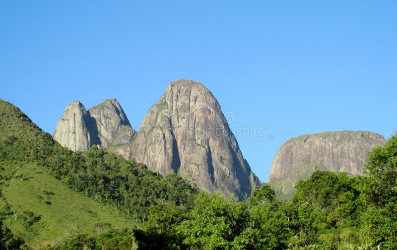 Beautiful scenery of green forest and smooth rocks