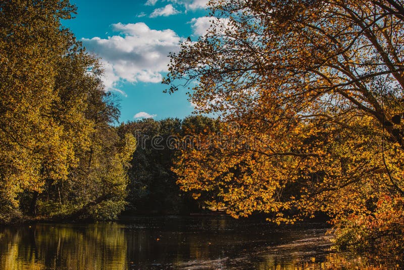 Beautiful Scenery of a Lot of Trees with Autumn Colors by the Lake in a ...