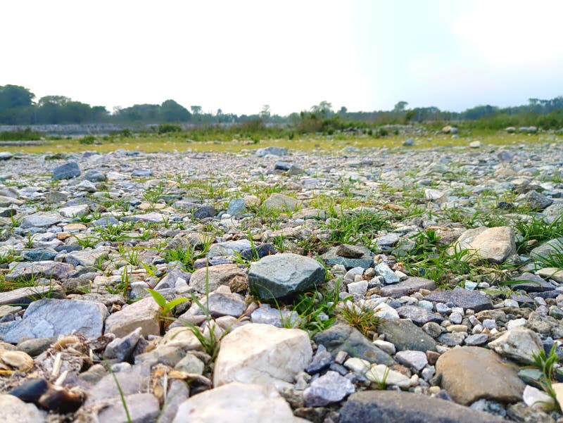 The beautiful scenery with white,black stone and grass. royalty free stock photo