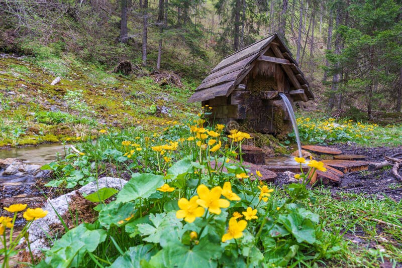 Krásná scéna jezera Blajzloch, Slovensko