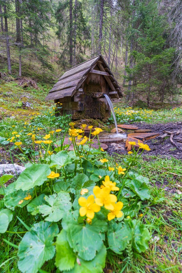 Beautiful scenic of Blajzloch lake, Slovakia