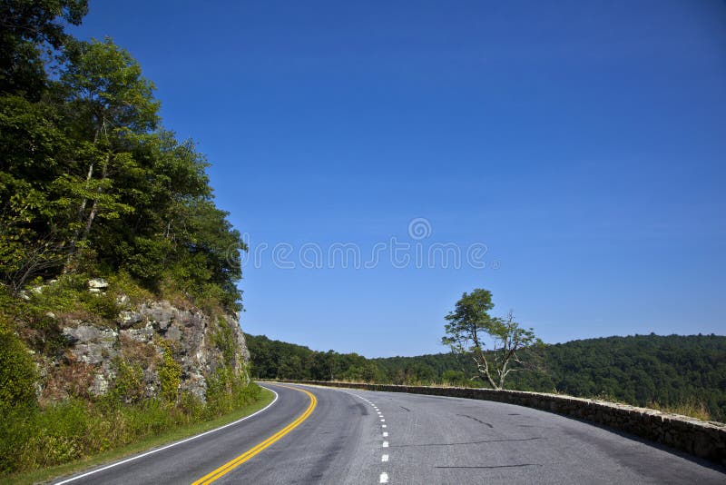 Beautiful scenic country road curves in forest