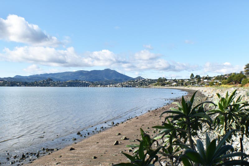 Beautiful Scenic View In Tiburon California With Mount Tamalpais In Background High Quality