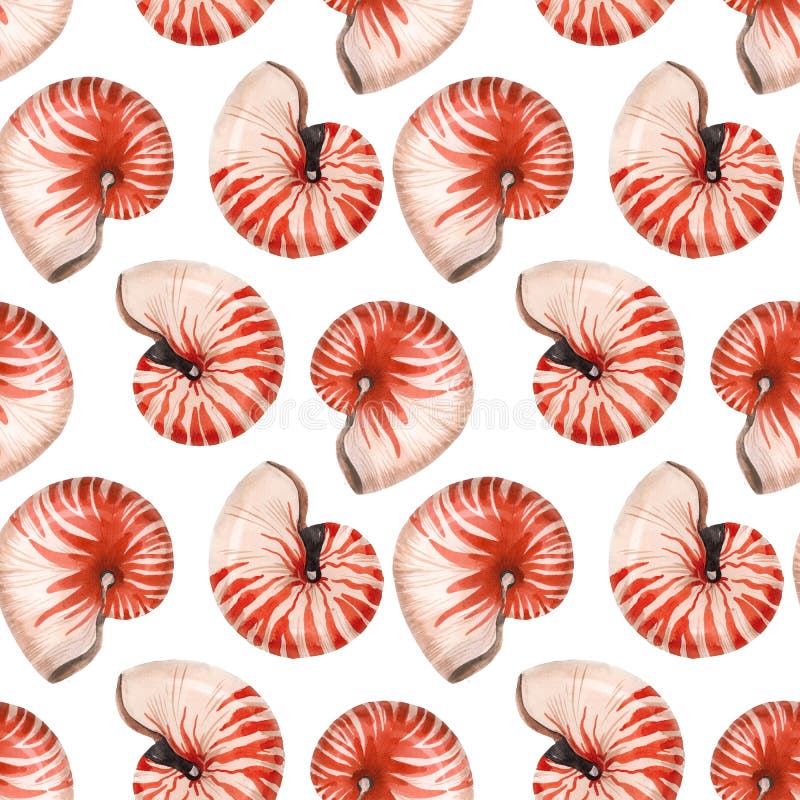 Watercolor sea life nautilus shell pattern stock illustration