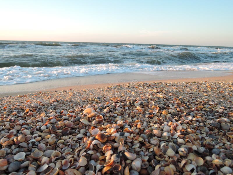 Beautiful seashell beach at sunset by the sea