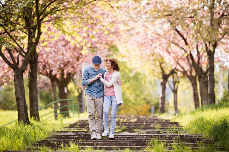 Beautiful senior couple in love outside in spring nature. stock photography Beautiful senior couple in love outside in spring nature. stock photography