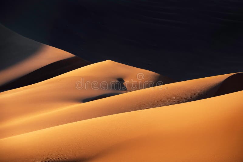 The beautiful shapes of desert