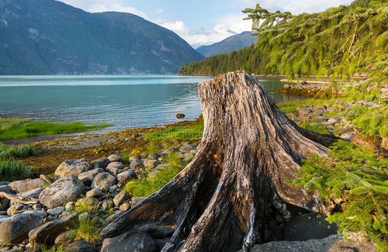 Bella Coola stock image. Image of peak, rocky, beautiful 164027549