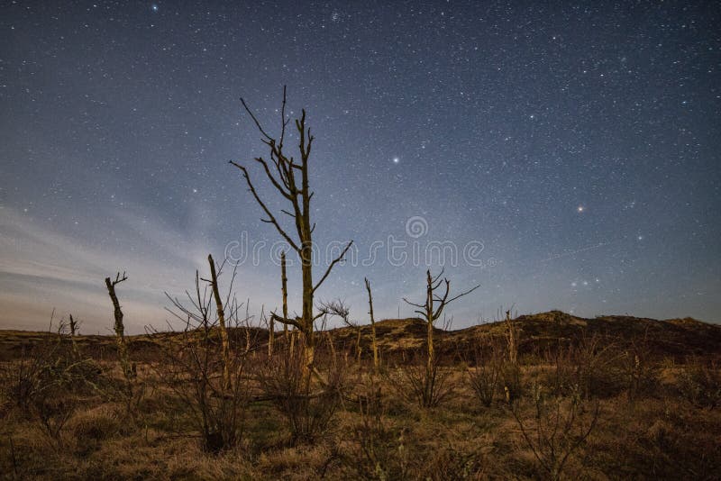 Beautiful shot of an autumn field under the stars stock image Beautiful shot of an autumn field under the stars stock image