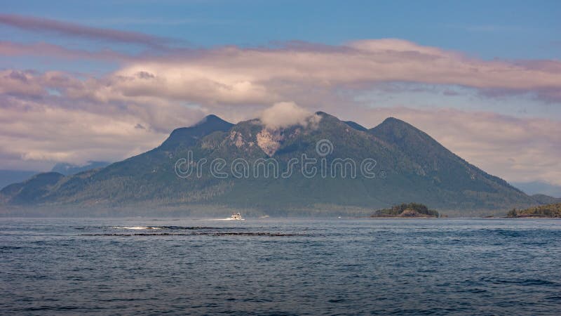 Beautiful shot of the coast of Tofino, Vancouver Island in Canada with the sea and a mountain royalty free stock images Beautiful shot of the coast of Tofino, Vancouver Island in Canada with the sea and a mountain royalty free stock images