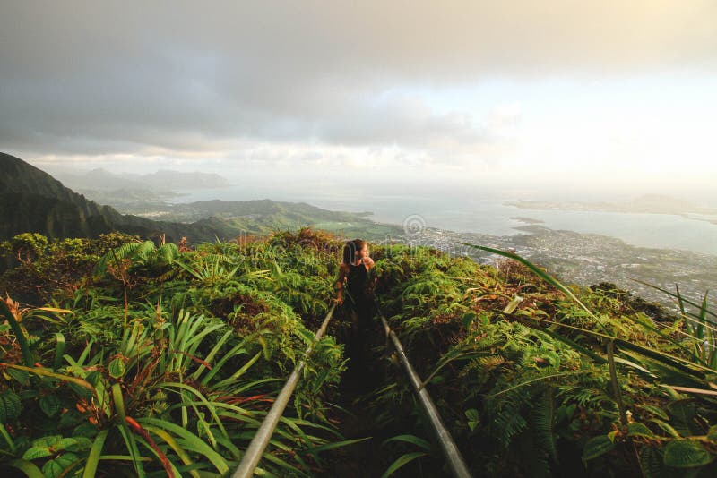 The nature in the visual  panorama.