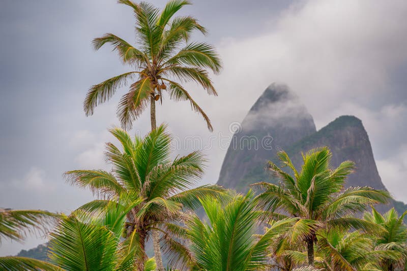 Beautiful shot of palm trees with iconic Dois Irmaos in Rio de Janeiro royalty free stock photos